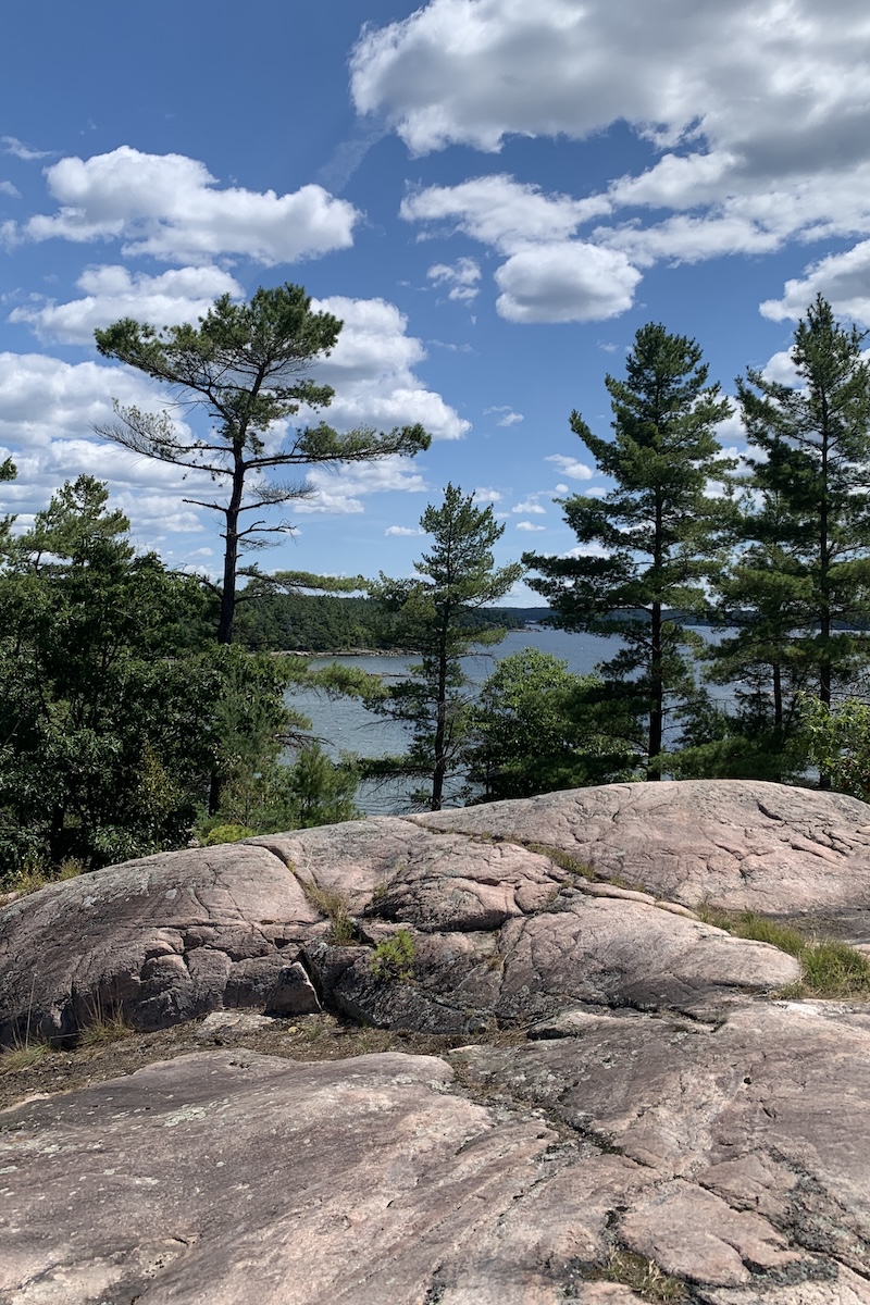 Decorative: A picture of rocks and trees on a sunny day. I took this picture on a trip to Killbear Provincial Park.